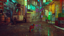 Stray