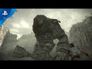 Shadow of The Colossus